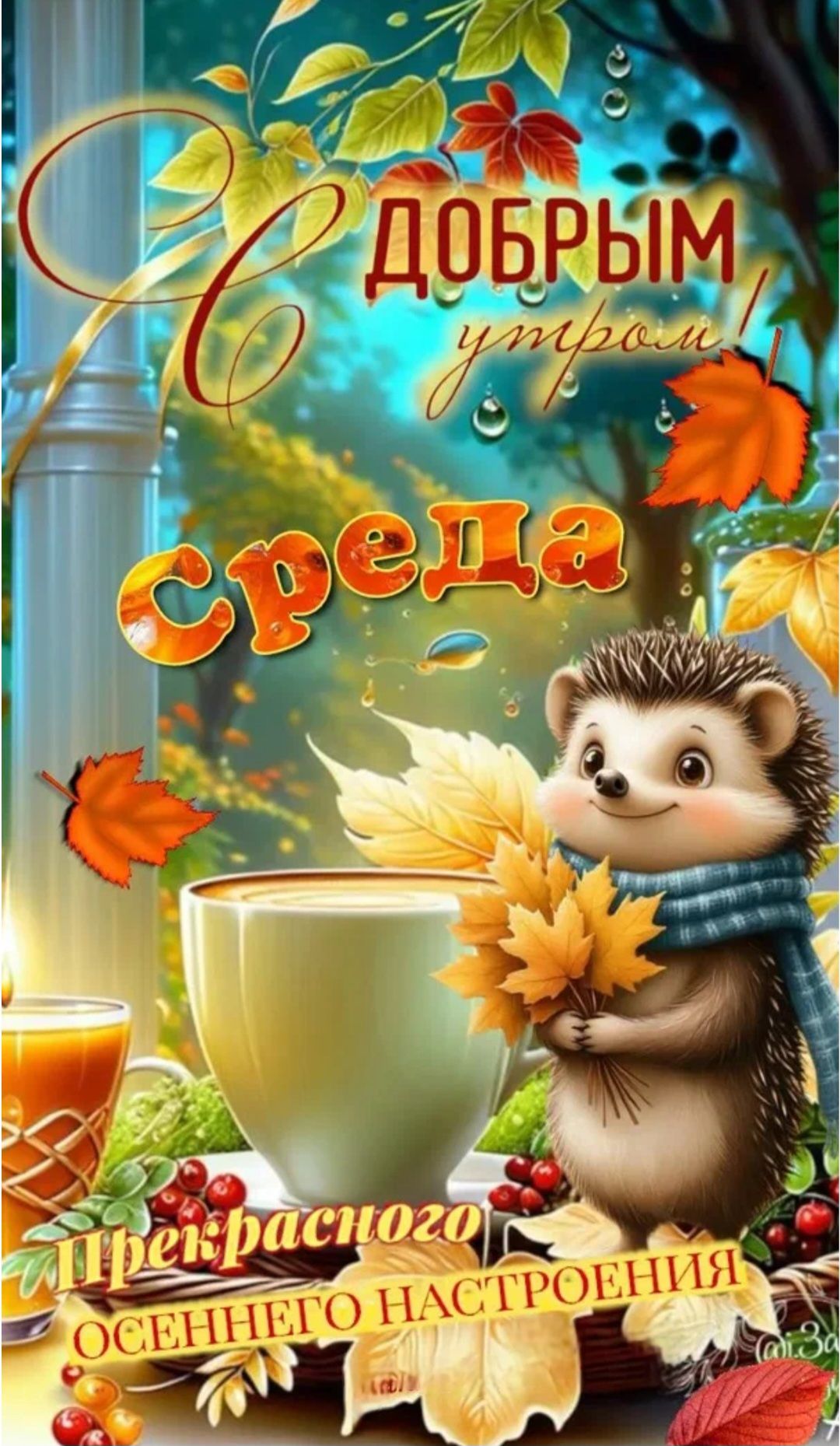 С добрым утром! Среда. Прекрасного осеннего настроения.