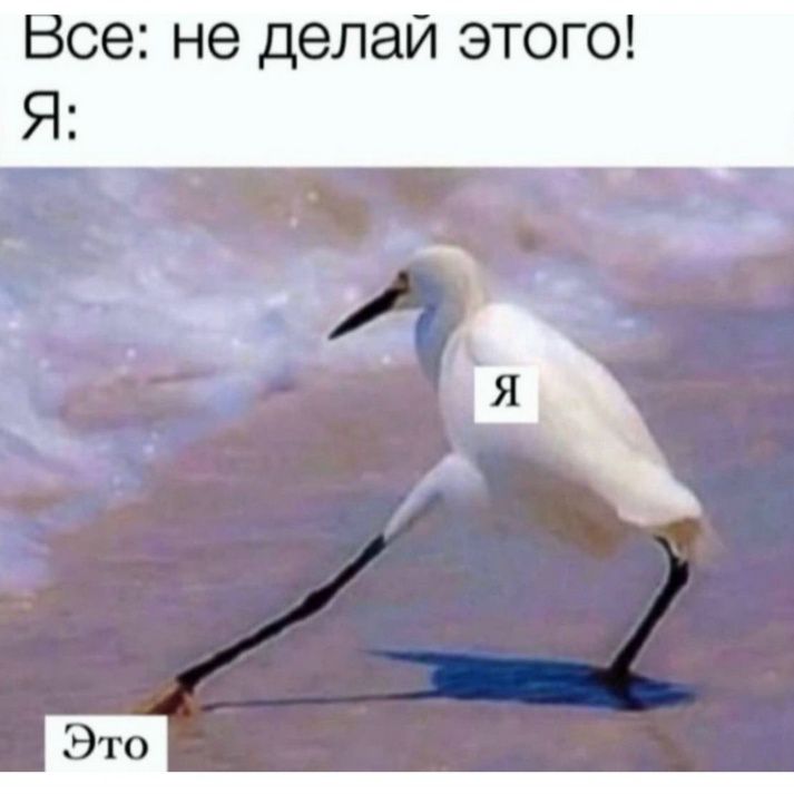 Все: не делай этого! Я: Это