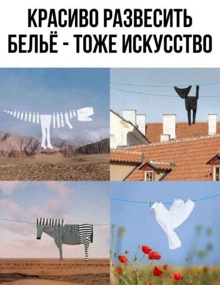 Красиво развесить бельё - тоже искусство