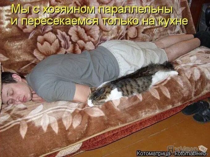 Мы с хозяином параллельны и пересекаемся только на кухне