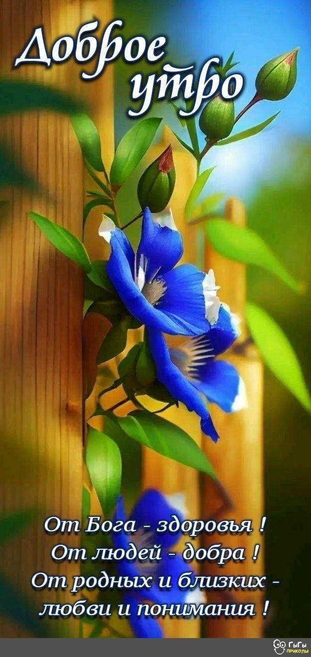 Доброе утро От Бога - здоровья! От людей - добра! От родных и близких - любви и понимания!