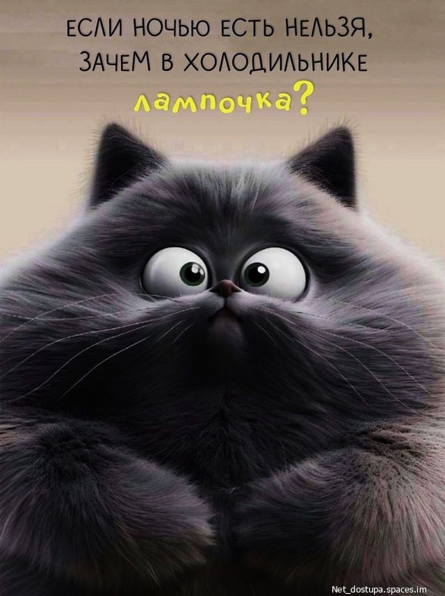 ЕСЛИ НОЧЬЮ ЕСТЬ НЕЛЬЗЯ, ЗАЧЕМ В ХОЛОДИЛЬНИКЕ ЛАМПОЧКА?