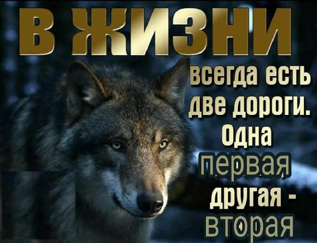 В ЖИЗНИ всегда есть две дороги. Одна первая другая - вторая