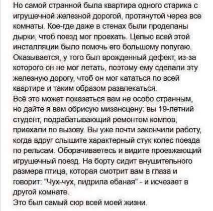 Но самой странной была квартира одного старика с игрушечной железной дорогой, протянутой через все комнаты. Кое-где даже в стенах были проделаны дырки, чтоб поезд мог проехать. Целью всей этой инсталляции было помочь его большому попугаю. Оказывается, у того был врожденный дефект, из-за которого он не мог летать, поэтому ему сделали эту железную