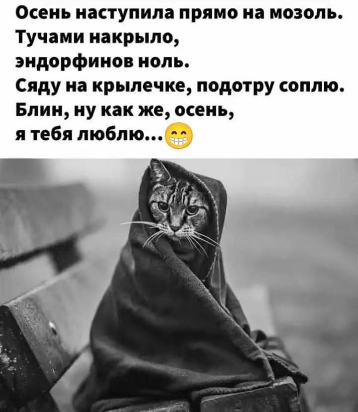Осень наступила прямо на мозоль. Тучами накрыло, эндорфинов ноль. Сяду на крылечке, подотру соплю. Блин, ну как же, осень, я тебя люблю...