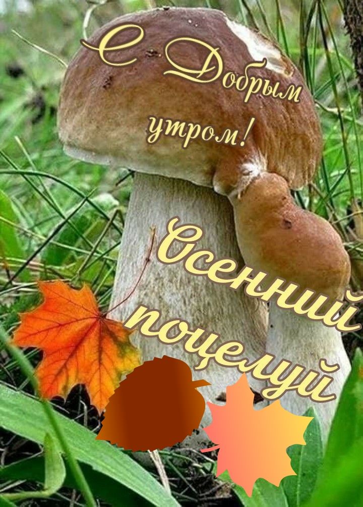 С добрым утром! Осенний поцелуй