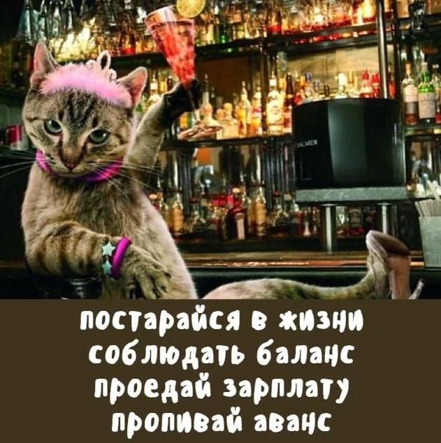 постарайся в жизни соблюдать баланс проедай зарплату пропивай аванс