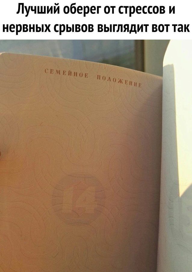 Лучший оберег от стрессов и нервных срывов выглядит вот так. СЕМЕЙНОЕ ПОЛОЖЕНИЕ
