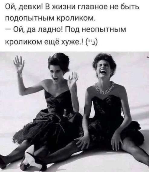 Ой, девки! В жизни главное не быть подопытным кроликом. — Ой, да ладно! Под неопытным кроликом ещё хуже.! (