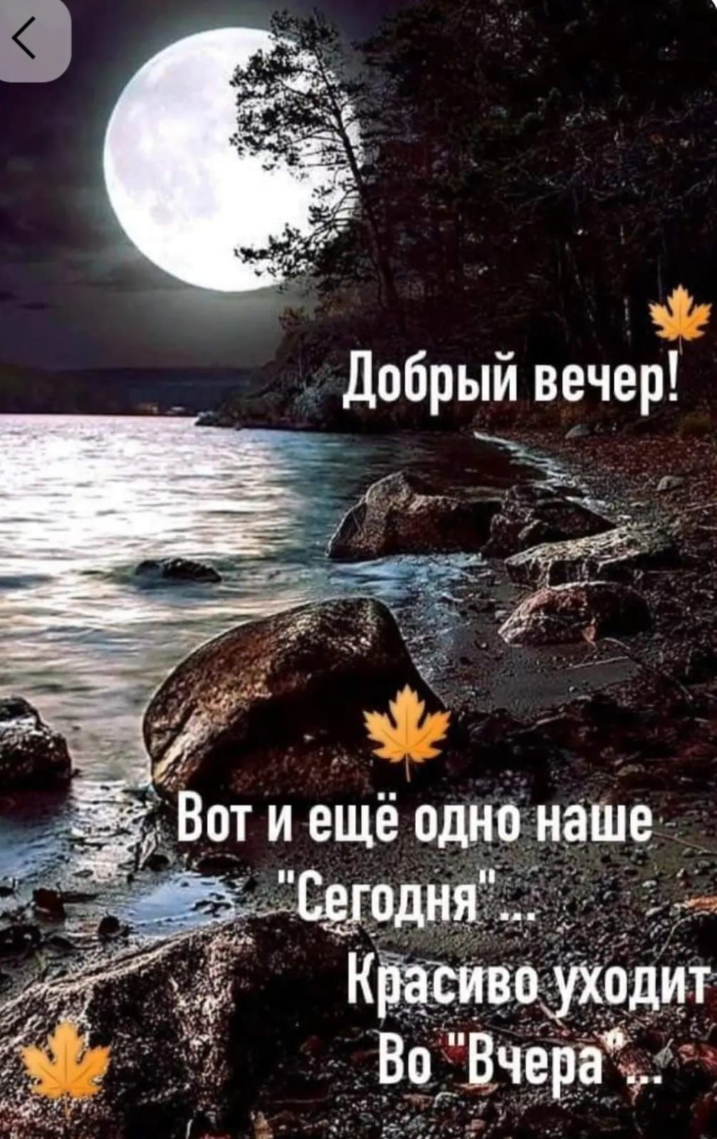 Добрый вечер! Вот и ещё одно наше 
