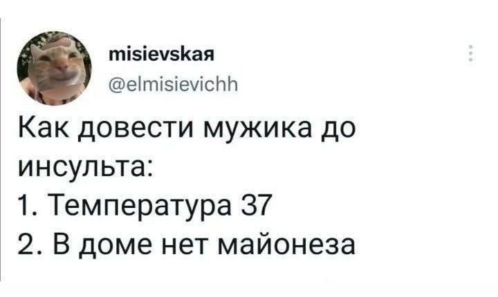 misievskaya @elmisievichh Как довести мужика до инсульта: 1. Температура 37 2. В доме нет майонеза