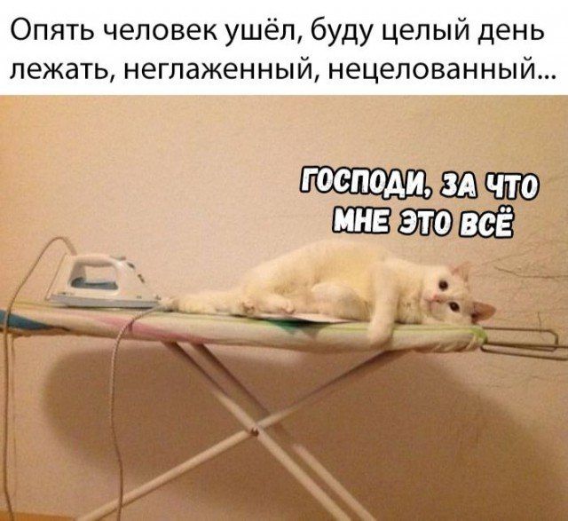 Опять человек ушёл, буду целый день лежать, неглаженный, нецелованный... ГОСПОДИ, ЗА ЧТО МНЕ ЭТО ВСЁ