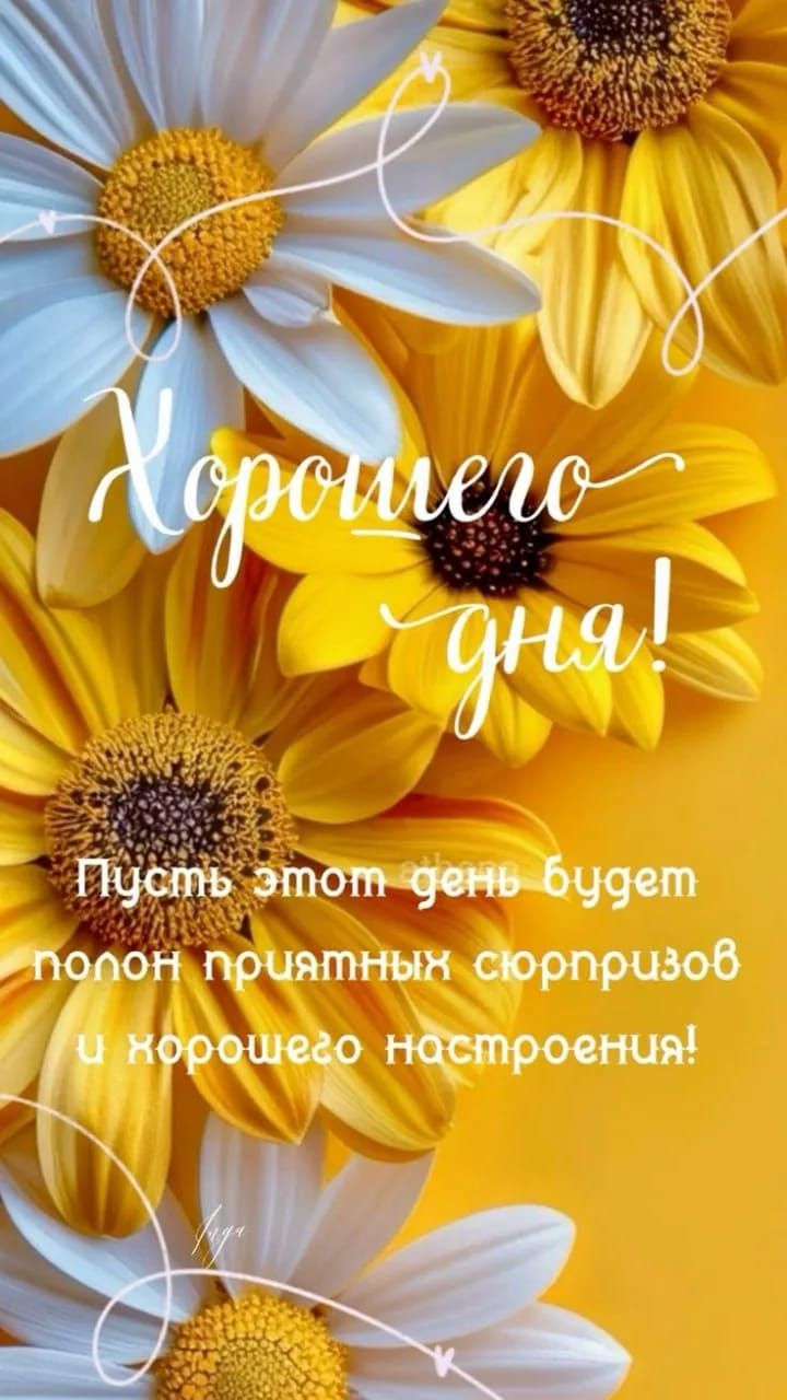 Хорошего дня! Пусть этот день будет полон приятных сюрпризов и хорошего настроения!