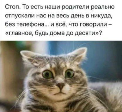 Стоп. То есть наши родители реально отпускали нас на весь день в никуда, без телефона... и всё, что говорили – «главное, будь дома до десяти»?
