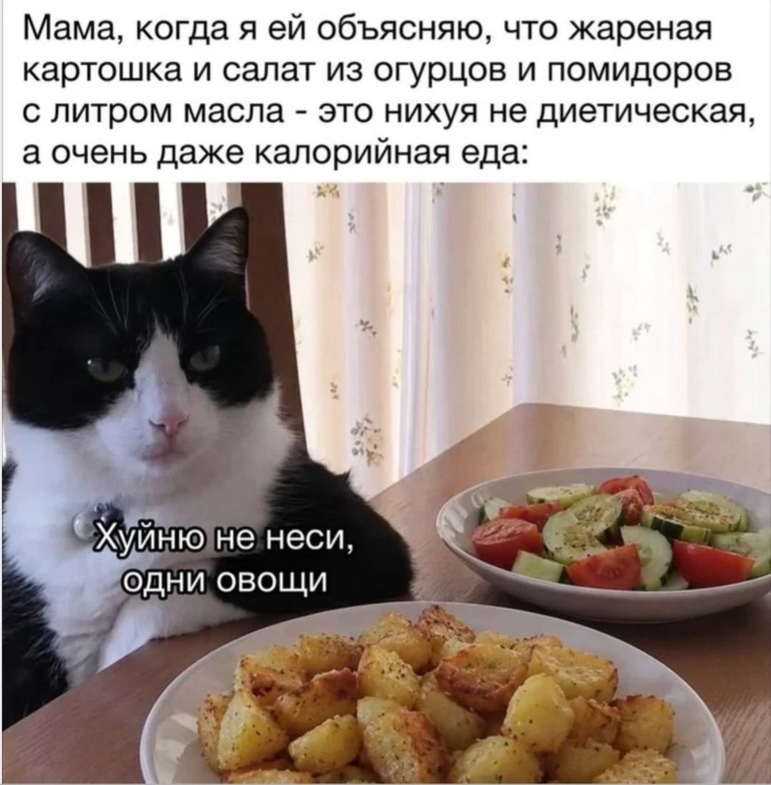 Мама, когда я ей объясняю, что жареная картошка и салат из огурцов и помидоров с литром масла - это нихуя не диетическая, а очень даже калорийная еда: Хуйню не неси, одни овощи