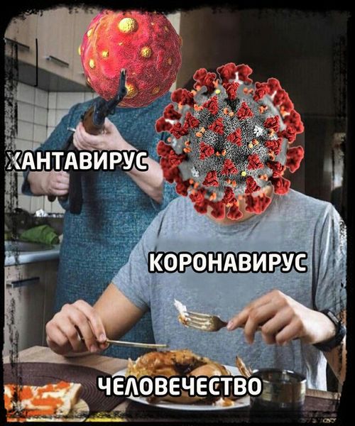 ХАНТАВИРУС КОРОНАВИРУС ЧЕЛОВЕЧЕСТВО