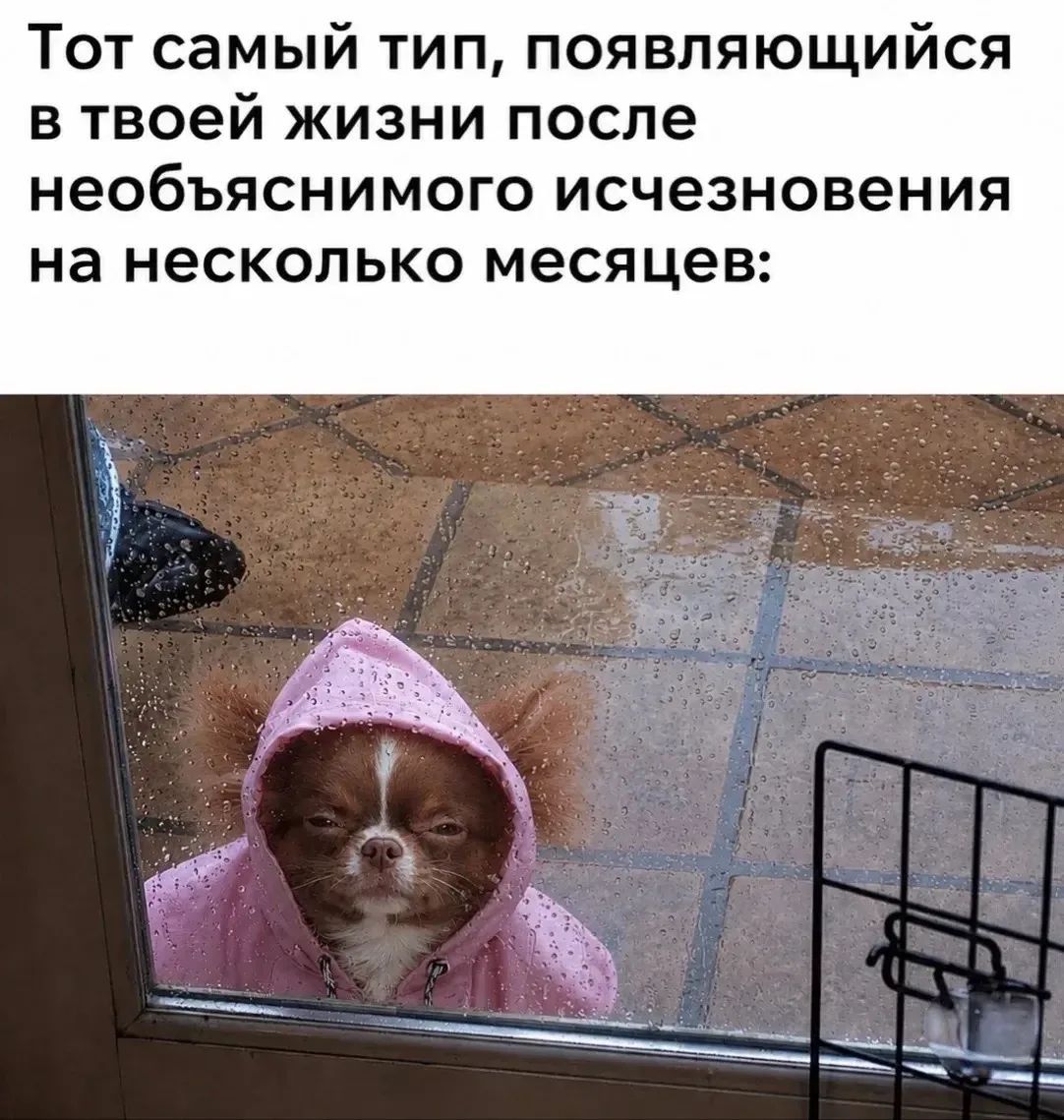 Тот самый тип, появляющийся в твоей жизни после необъяснимого исчезновения на несколько месяцев: