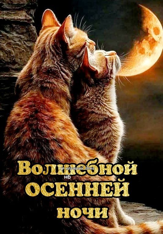 Волшебной осенней ночи