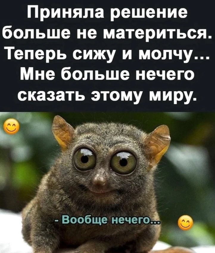 Приняла решение больше не материться. Теперь сижу и молчу... Мне больше нечего сказать этому миру. - Вообще нечего...
