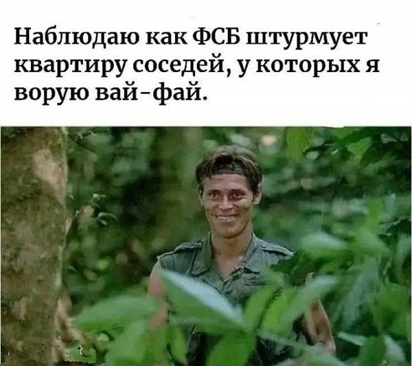 Наблюдаю как ФСБ штурмует квартиру соседей, у которых я ворую вай-фай.