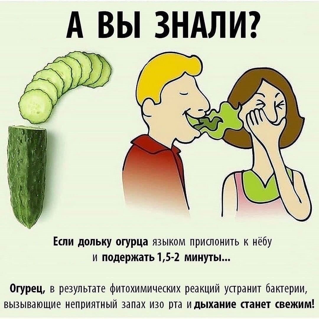 А ВЫ ЗНАЛИ? Если дольку огурца языком прислонить к нёбу и подержать 1,5-2 минуты... Огурец, в результате фитохимических реакций устранит бактерии, вызывающие неприятный запах изо рта и дыхание станет свежим!