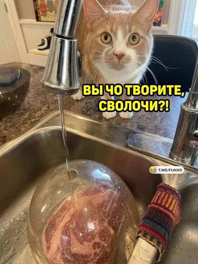 ВЫ ЧО ТВОРИТЕ, СВОЛОЧИ?!