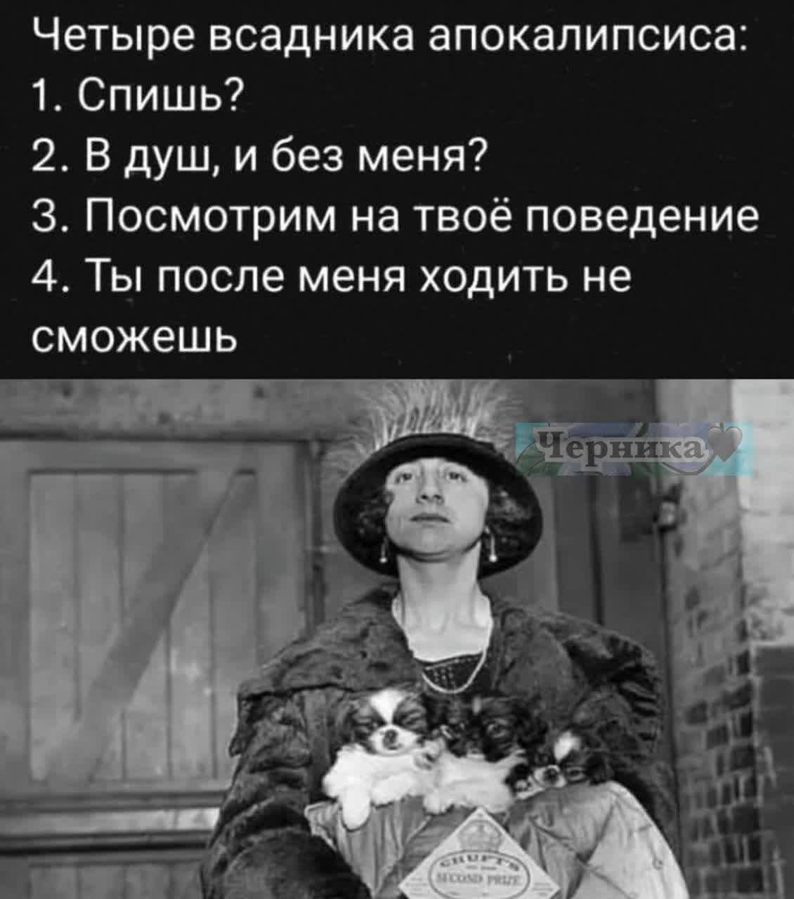 Четыре всадника апокалипсиса: 1. Спишь? 2. В душ, и без меня? 3. Посмотрим на твоё поведение 4. Ты после меня ходить не сможешь Черника