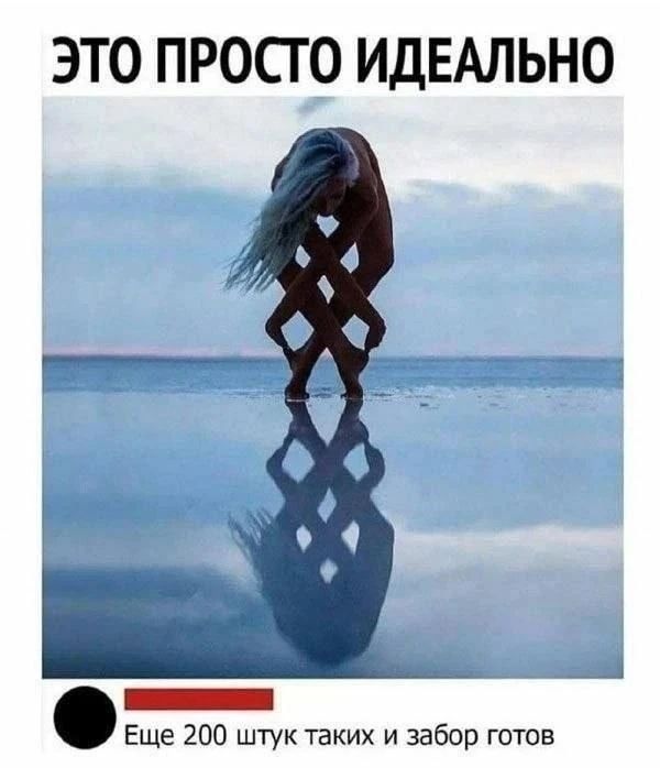 ЭТО ПРОСТО ИДЕАЛЬНО. Еще 200 штук таких и забор готов