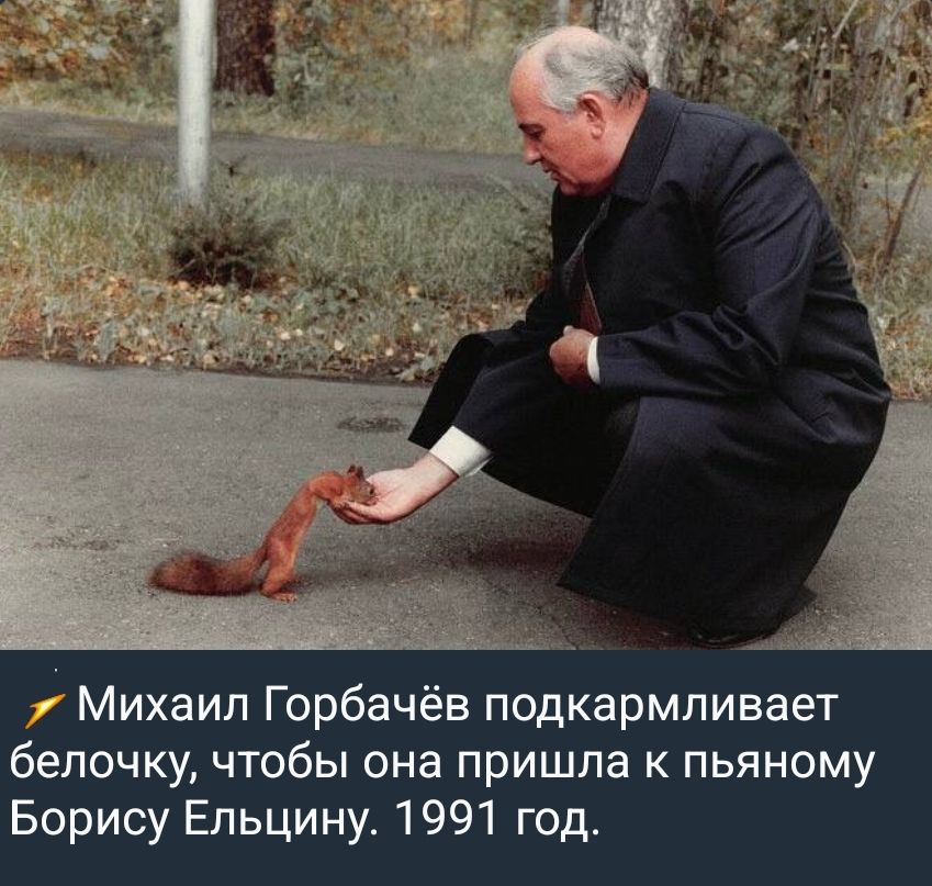 Михаил Горбачёв подкармливает белочку, чтобы она пришла к пьяному Борису Ельцину. 1991 год.