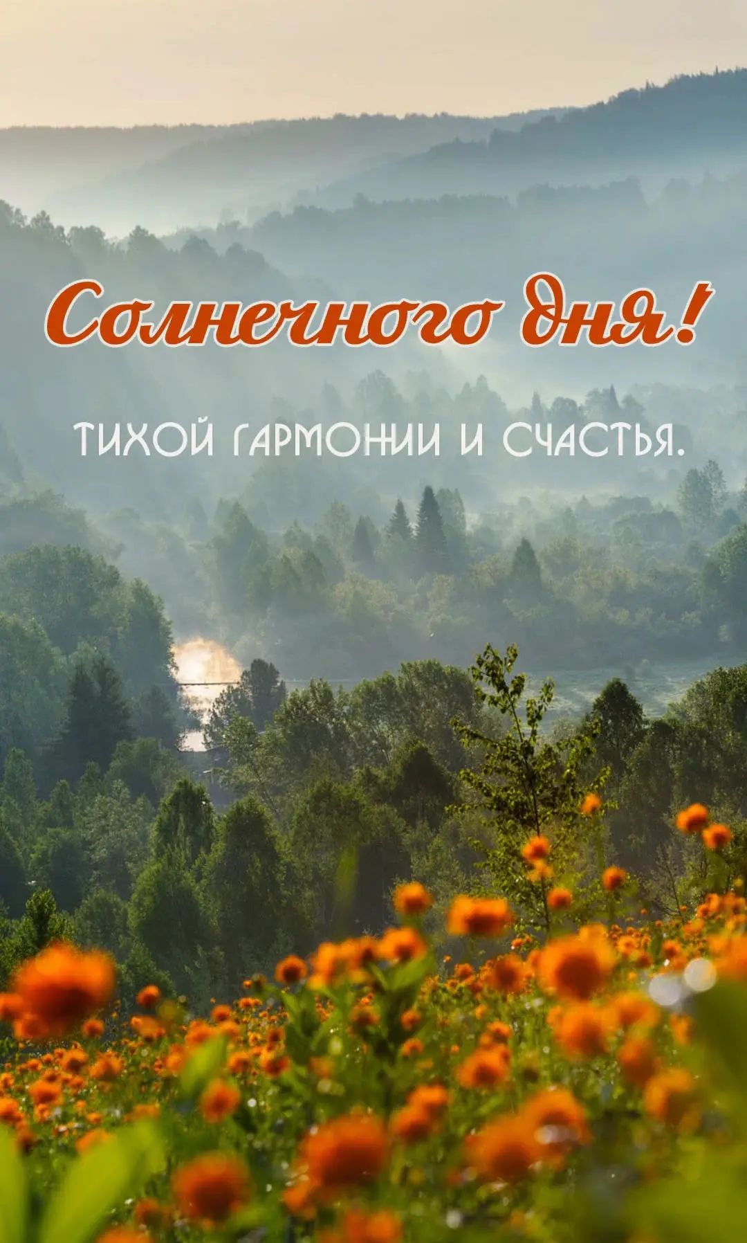 Солнечного дня! тихой гармонии и счастья.