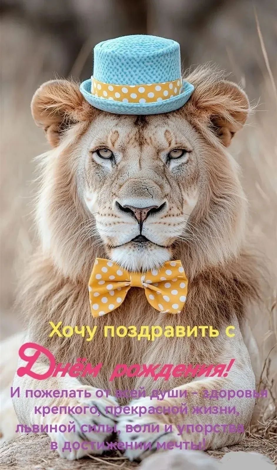 Хочу поздравить с Днем рождения! И пожелать от всей души - здоровья крепкого, прекрасной жизни, львиной силы, воли и упорства в достижении мечты!