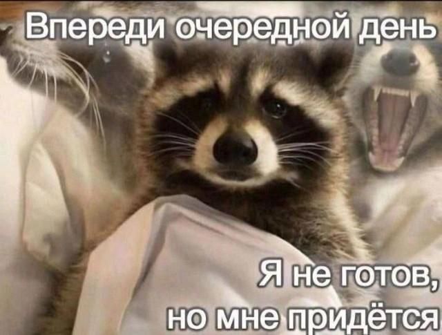Впереди очередной день. Я не готов, но мне придётся.