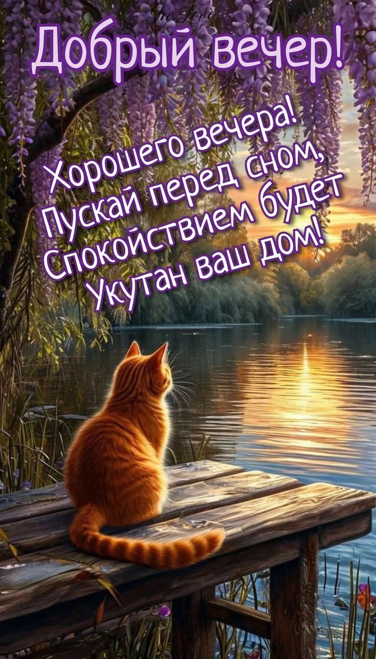 Добрый вечер! Хорошего вечера! Пускай перед сном, Спокойствием будет Укутан ваш дом!