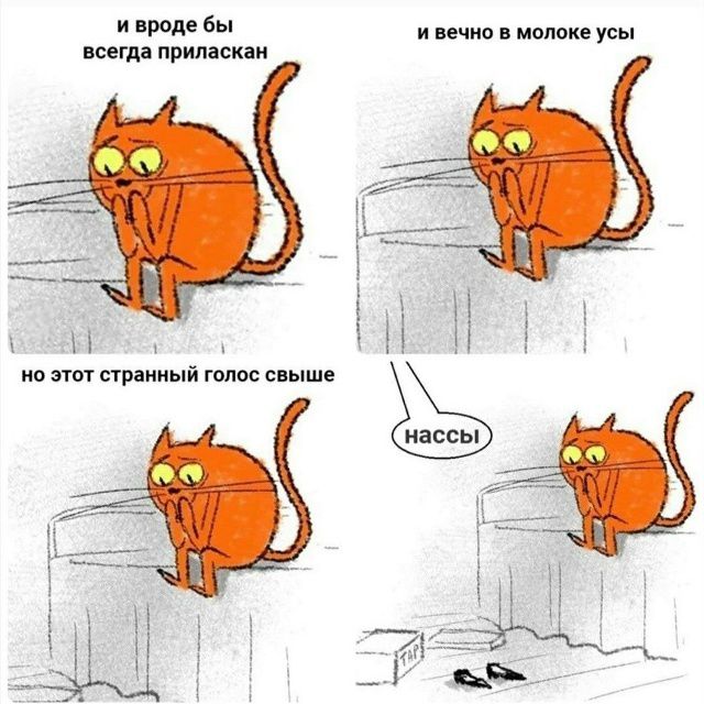 и вроде бы всегда приласкан и вечно в молоке усы но этот странный голос свыше нассы