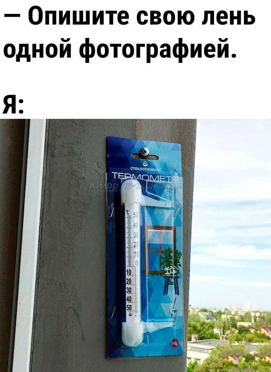 Опишите свою лень одной фотографией. Я: [термометр в упаковке закреплен на окне]