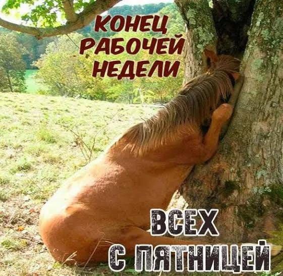 КОНЕЦ РАБОЧЕЙ НЕДЕЛИ ВСЕХ С ПЯТНИЦЕЙ