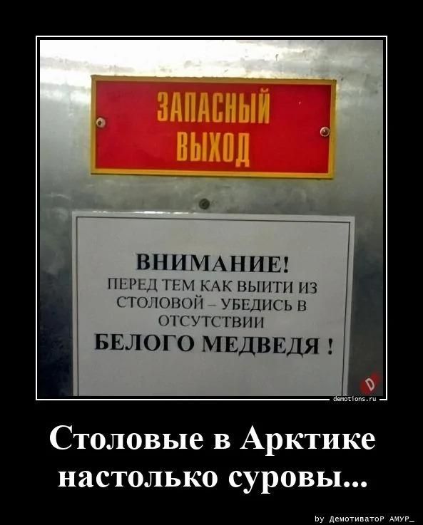 ЗАПАСНЫЙ ВЫХОД ВНИМАНИЕ! ПЕРЕД ТЕМ КАК ВЫЙТИ ИЗ СТОЛОВОЙ – УБЕДИСЬ В ОТСУТСТВИИ БЕЛОГО МЕДВЕДЯ! Столовые в Арктике настолько суровы...