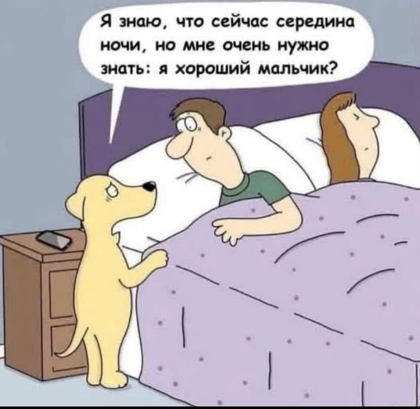 Я знаю, что сейчас середина ночи, но мне очень нужно знать: я хороший мальчик?