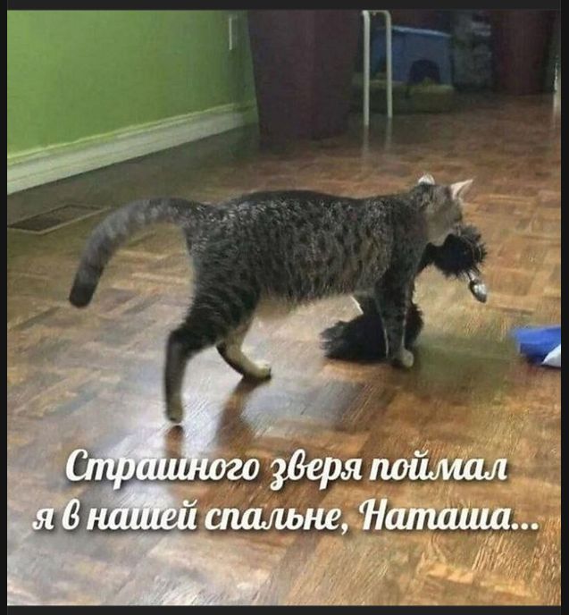 Страшного зверя поймал я в нашей спальне, Наташа...