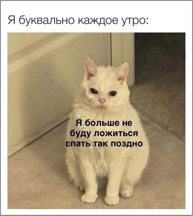 Я буквально каждое утро: Я больше не буду ложиться спать так поздно