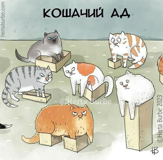 КОШАЧИЙ АД