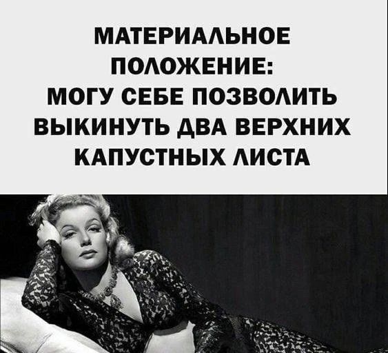 МАТЕРИАЛЬНОЕ ПОЛОЖЕНИЕ: МОГУ СЕБЕ ПОЗВОЛИТЬ ВЫКИНУТЬ ДВА ВЕРХНИХ КАПУСТНЫХ ЛИСТА