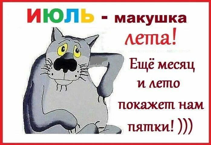 ИЮЛЬ - макушка лета! Ещё месяц и лето покажет нам пятки! )))