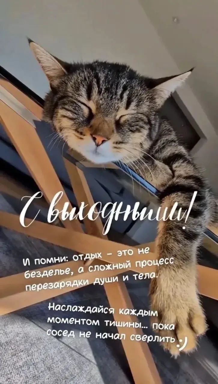 С выходными! И помни: отдых — это не безделье, а сложный процесс перезарядки души и тела. Наслаждайся каждым моментом тишины... пока сосед не начал сверлить :)