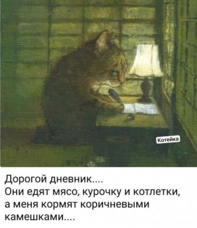 Котейка Дорогой дневник.... Они едят мясо, курочку и котлетки, а меня кормят коричневыми камешками....