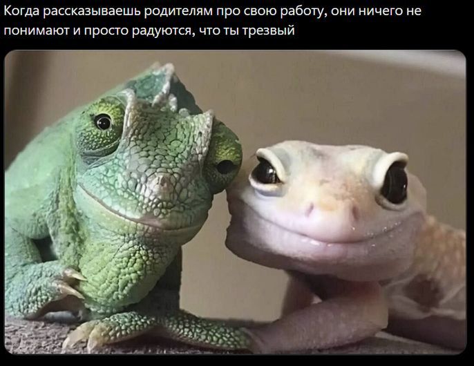 Когда рассказываешь родителям про свою работу, они ничего не понимают и просто радуются, что ты трезвый