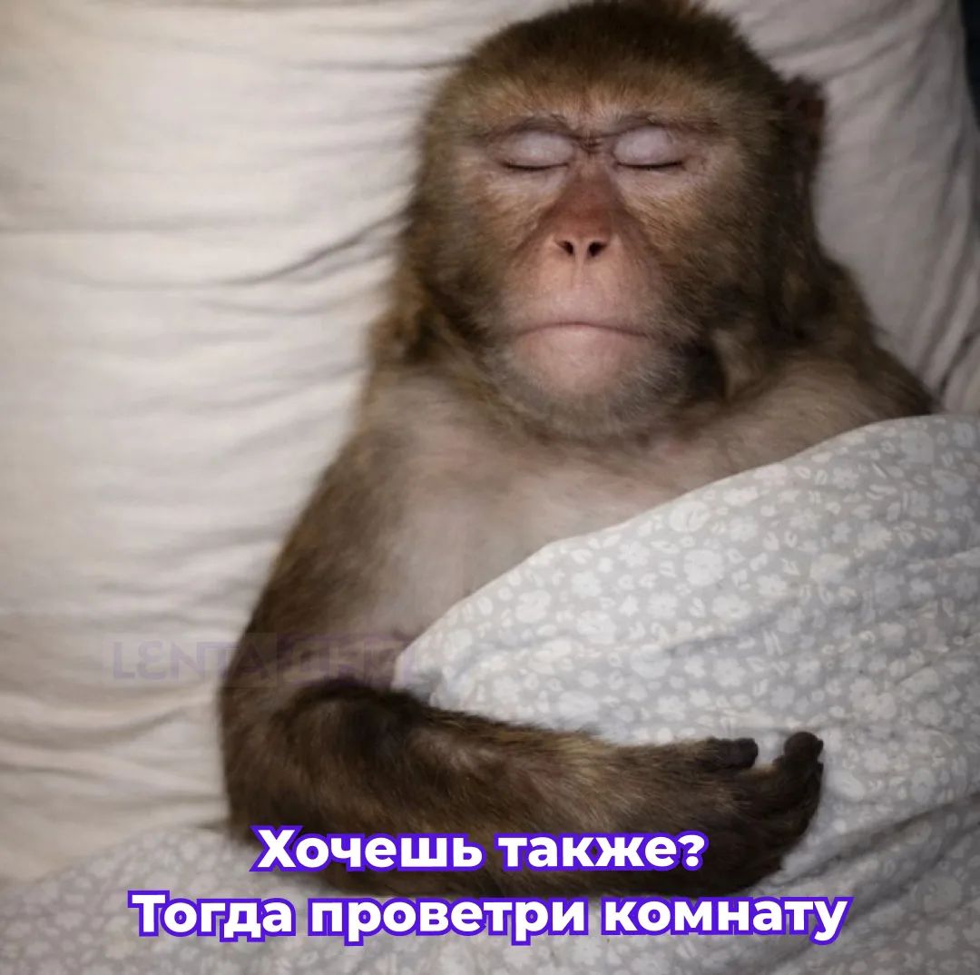 Хочешь также? Тогда проветри комнату
