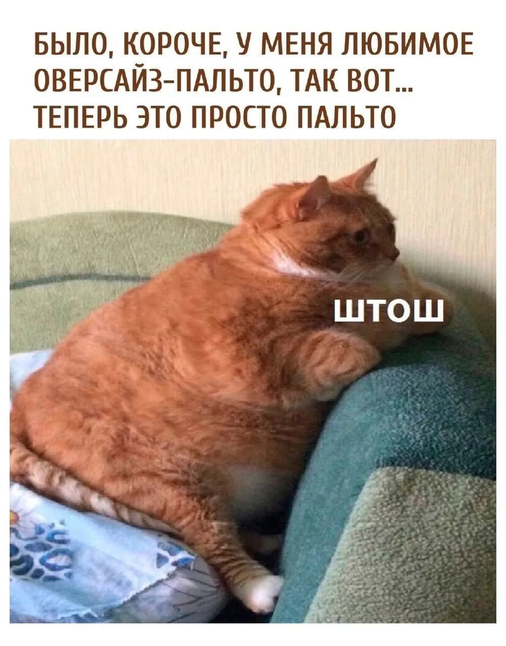 БЫЛО, КОРОЧЕ, У МЕНЯ ЛЮБИМОЕ ОВЕРСАЙЗ-ПАЛЬТО, ТАК ВОТ... ТЕПЕРЬ ЭТО ПРОСТО ПАЛЬТО ШТОШ