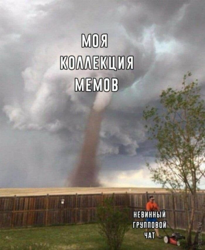 МОЯ КОЛЛЕКЦИЯ МЕМОВ НЕВИННЫЙ ГРУППОВОЙ ЧАТ