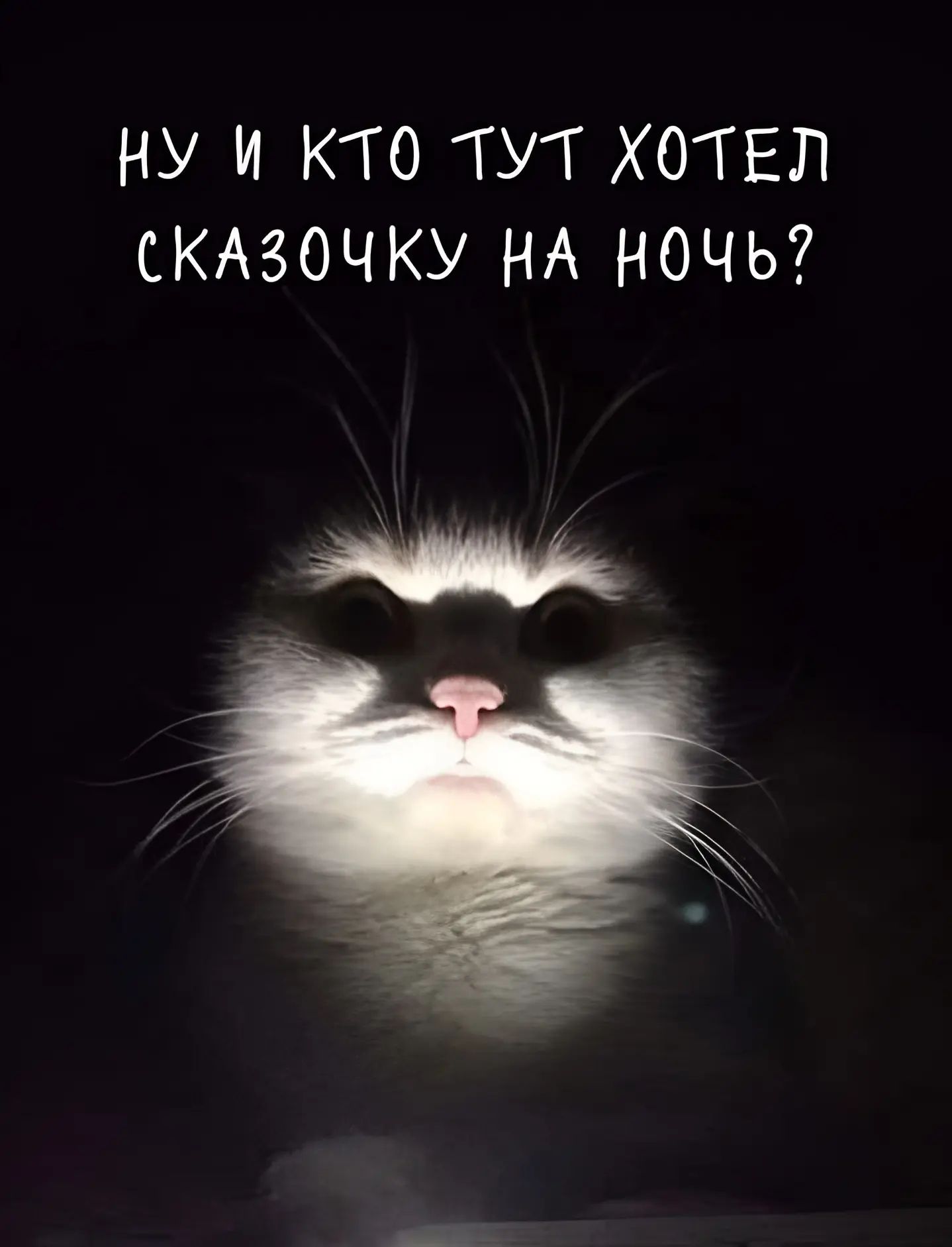НУ И КТО ТУТ ХОТЕЛ СКАЗОЧКУ НА НОЧЬ?